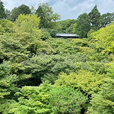 東福寺通天橋