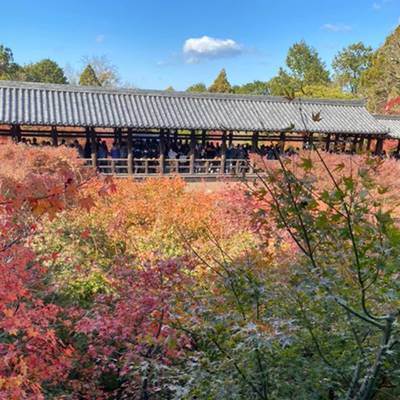 東福寺通天橋