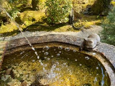 霊源院